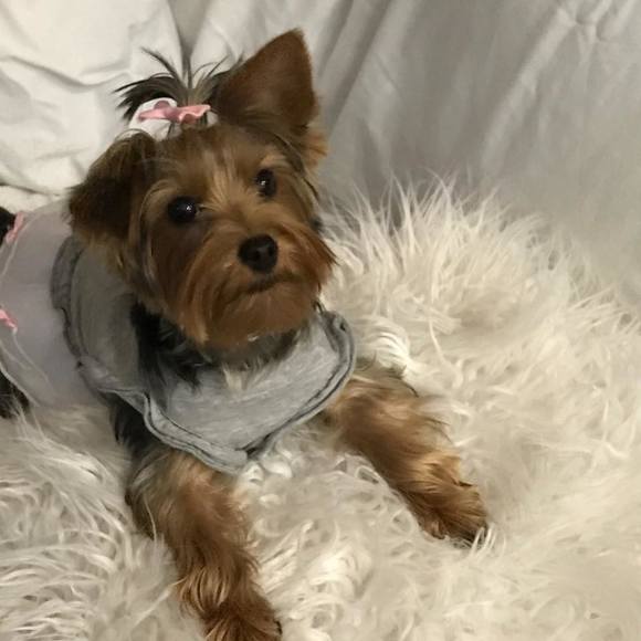 Profile Picture of Michelle Monahan todd (@shelley62) on Poshmark