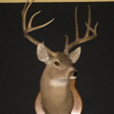 Profile Picture of David R. Cason (@Lightnin89) on Twitter