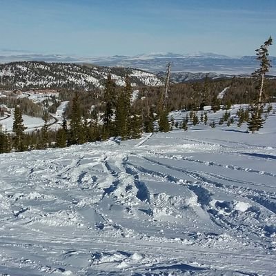 Profile Picture of Erik Niemann (@015c2ee90da3457) on Twitter