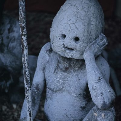 Profile Picture of Sean Finn (@Sean__Finn) on Twitter