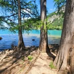 Profile Picture of Margot Schindler (@Margot-Schindler) on Facebook