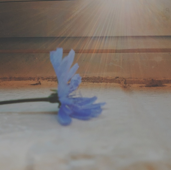 Profile Picture of Stephanie Trieu (@littlehaven) on Poshmark