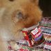 Profile Picture of Robin Ohler Knupp (@robinknupp) on Pinterest