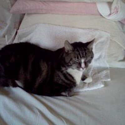 Profile Picture of Eileen Keller (Opie) (@OpieK58) on Twitter