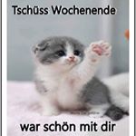 Profile Picture of Richard Schindler (@i_am_king_richard) on Instagram