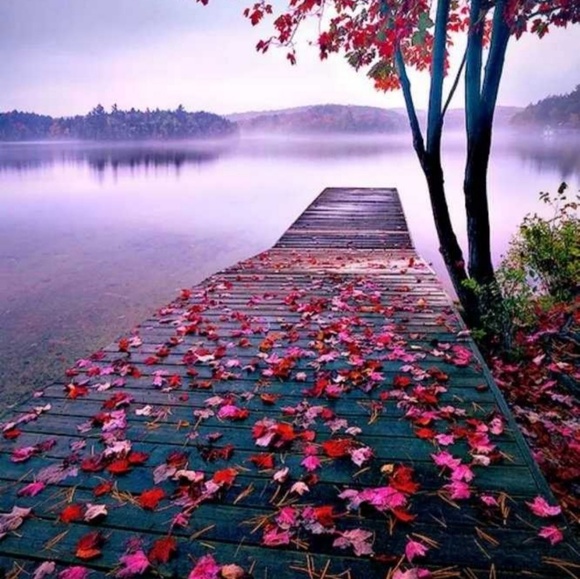 Profile Picture of Rama Rama (@ramarama694) on Poshmark