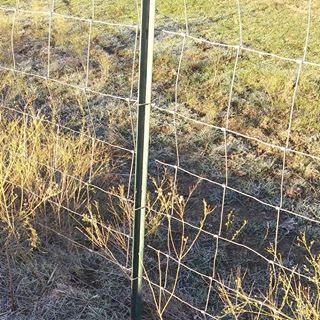 Profile Picture of Benigno Gonzalez (@benigno.gonzalez.50596) on Facebook