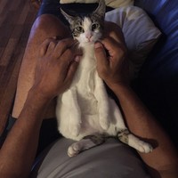 Profile Picture of Danielle Hendricks (@danielle-hendricks-3) on Quora