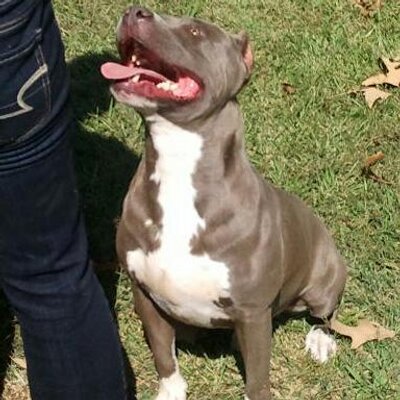 Profile Picture of Dustin Lunn (@DLunn5) on Twitter