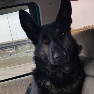 Profile Picture of Smoky Joe Masterson (@william.conachen.7) on Facebook