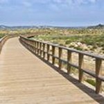 Profile Picture of Bernadette Cotter (@cotterbernadette) on Instagram