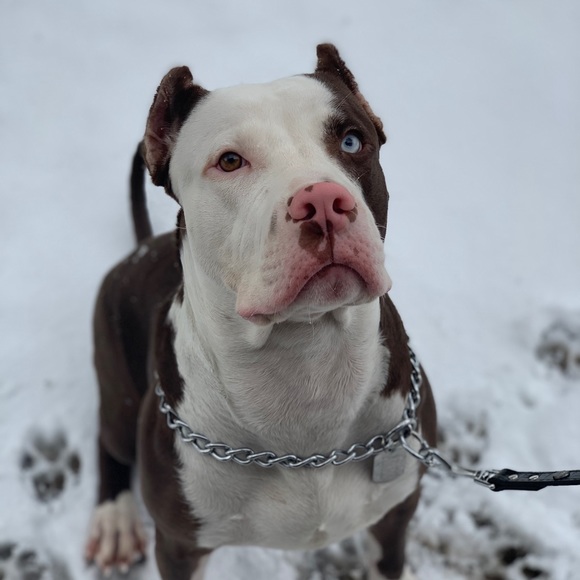 Profile Picture of Simi Kaur (@simikx) on Poshmark