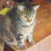Profile Picture of Kaye Peace (@kaye.peace.7) on Facebook
