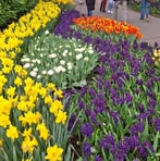 Profile Picture of Daniel Reignier (@daniel.reignier.7) on Facebook