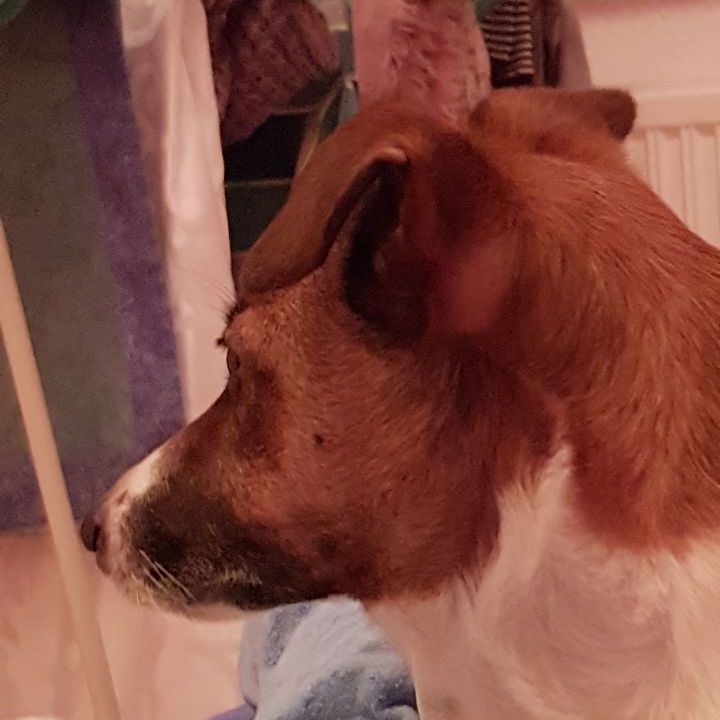 Profile Picture of Jack_kalthoff (@jack_kalthoff2) on Tiktok