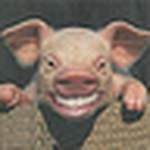 Profile Picture of ElectroPig%u2122 von F?kkenGr??ven (@ElectroPig%u2122 von F?kkenGr??ven) on Flickr