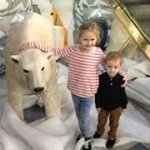 Profile Picture of paul mummery (@mummery1964) on Instagram