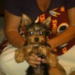 Profile Picture of Angela McPherson (@codyandbentley) on Pinterest