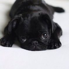 Profile Picture of Ioana Preda (@IoanaPreda8) on Twitter