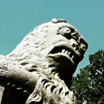Profile Picture of Daniel (@fetterskinhead) on Instagram