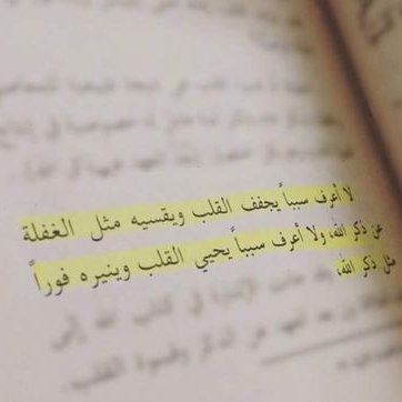 Profile Picture of Mona Mahmoud (@MonaMah91729041) on Twitter