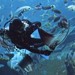 Profile Picture of Ken Kwan (@finding_ken) on Instagram