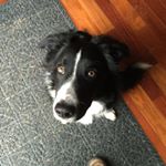 Profile Picture of Robin Trexel (@rtrexel) on Instagram