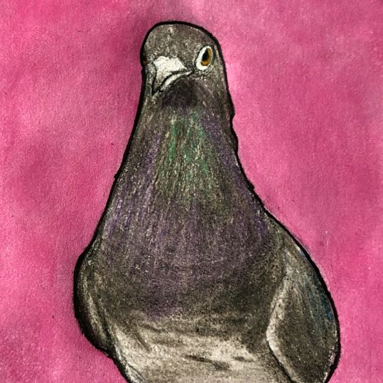 Profile Picture of cassikraft (@@cassikraft) on Tiktok