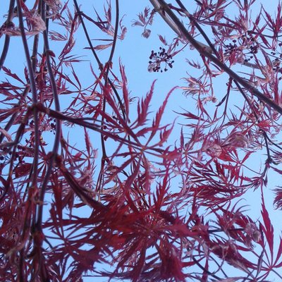 Profile Picture of Geoff Thomson (@GeoffThomson3) on Twitter