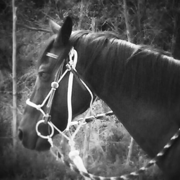 Lori Lamonaca - Poshmark Profile Picture of Lori Lamonaca (@rinlucky) on Poshmark