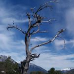 Profile Picture of Michael Willemsen (@wuweiwanderlust) on Instagram