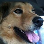 Karan Richardson - Instagram Profile Picture of Karan Richardson (@karanrichardson) on Instagram