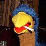 Profile Picture of Mark Scollon (@markscollon) on Instagram