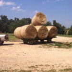 Profile Picture of Cody (@cody____burton) on Instagram