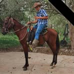 Profile Picture of Jorge Nestor Rodriguez Avila (@Jorge-Nestor-Rodriguez-Avila) on Facebook