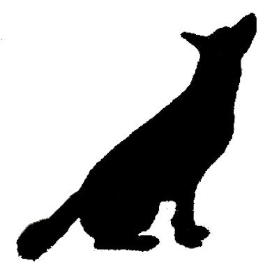 Sean Theodore - Twitter Profile Picture of Sean Theodore (@TopDogK9Trainin) on Twitter