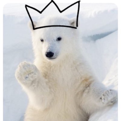 Profile Picture of Babybear The King Boiii (@derekchampagne6) on Twitter