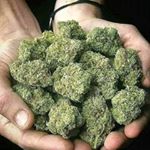 Profile Picture of Amsterdam2europe (@jamesmason0000) on Instagram