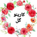 Profile Picture of گل و گیاه (@karino_gol) on Instagram