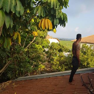 Profile Picture of Daniel Elbaz (@daniel.elbaz.52) on Facebook