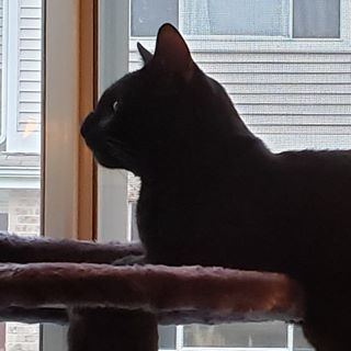 Profile Picture of Jason Otis (@dfhellraiser4td) on Facebook