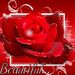 Profile Picture of Andrea Carson (@acarson377) on Pinterest