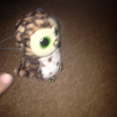 Profile Picture of MattTheGamerYoutube (@MattTheGam) on Twitter