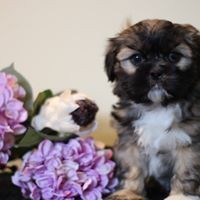 Profile Picture of Jo-ann Oneill (@jo-ann-oneill-2) on Quora