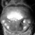 Profile Picture of Josh Wilensky (@Josh-Wilensky) on Facebook