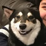 Profile Picture of Calvin Nguyen (@calvin.nguyen.514183) on Facebook