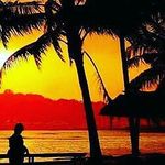 Profile Picture of Gilli Buddy (@gilli_buddy) on Instagram