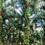 Profile Picture of Ester Bili (@Ester-Bili) on Facebook