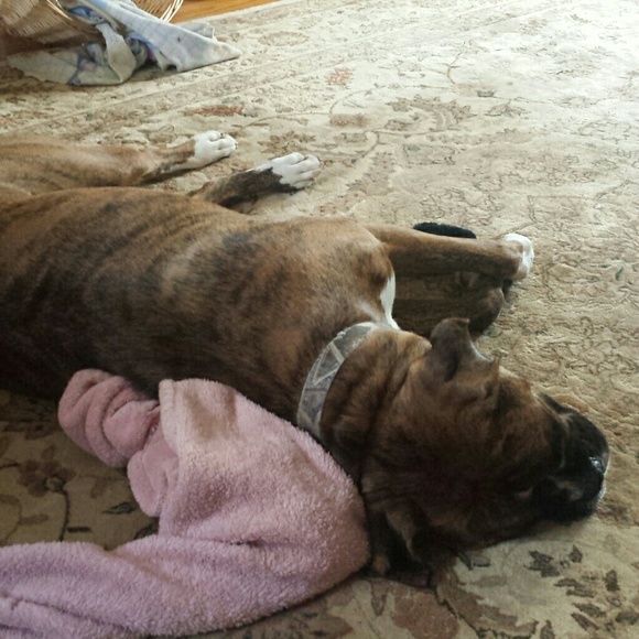 Michele Pohlman - Poshmark Profile Picture of Michele Pohlman (@logcabin23) on Poshmark