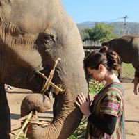 Profile Picture of Lauren Burgheimer (@lauren-burgheimer) on Quora